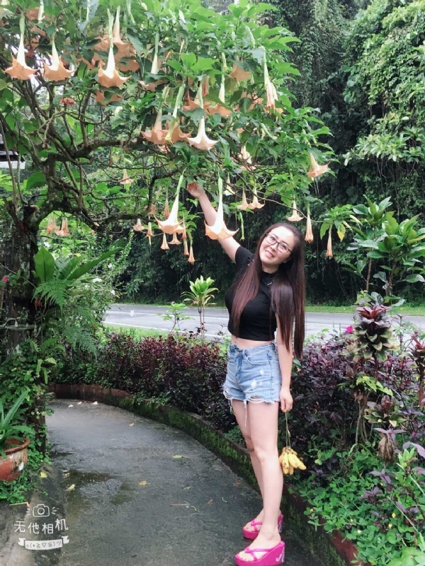 离异单身无子的第二张照片--孝感相亲服务中心