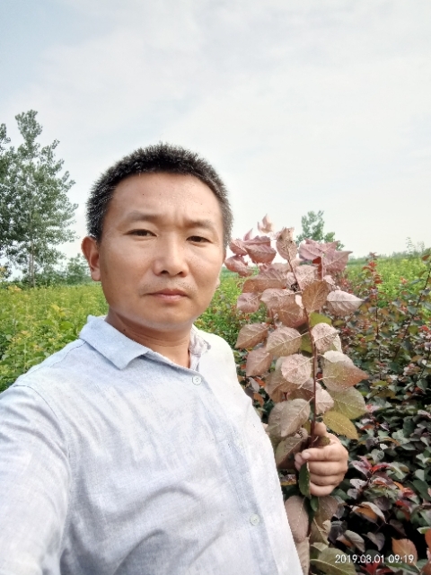 孩子爸的第二张照片--孝感相亲服务中心