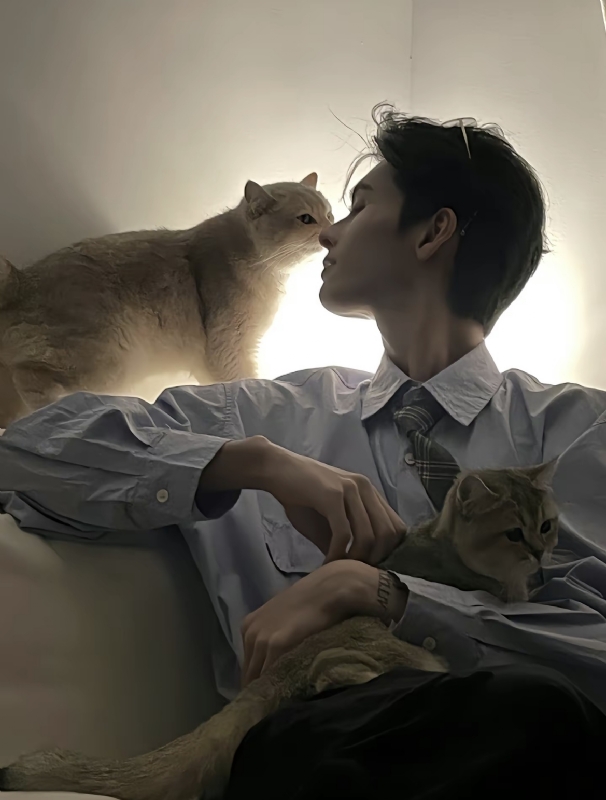 怪猫的第一张照片--孝感相亲服务中心