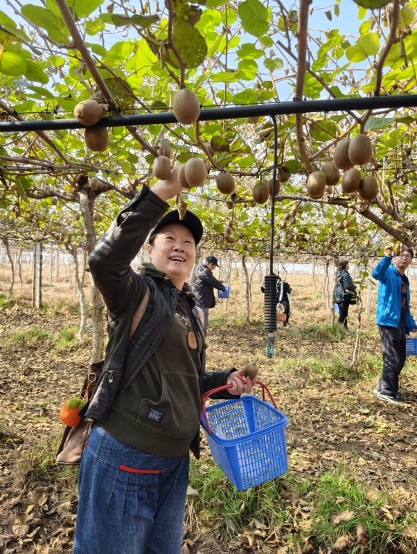 夜莺的第四张照片--孝感相亲服务中心
